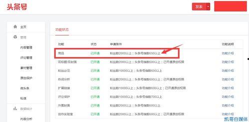 头条号指数怎么开通,如何轻松开通并提升内容影响力
