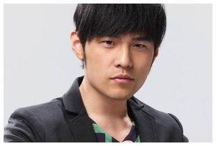 明星吴奇隆的视频,演艺生涯背后的故事与感悟