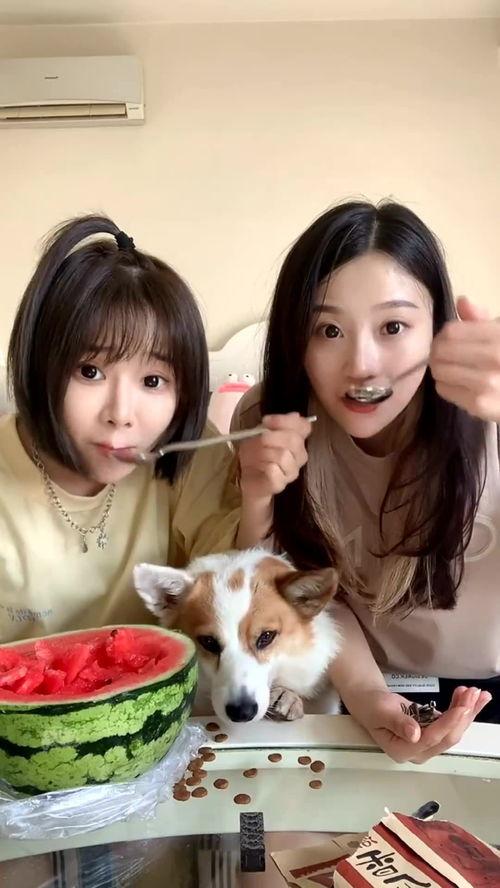 吃瓜姐妹闺蜜,揭秘娱乐圈背后的秘密生活