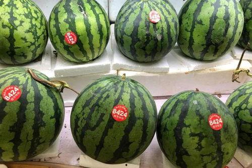 吃瓜0.5块,0.5元尽享美味