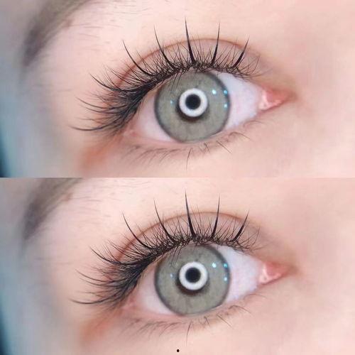 网红款山茶花睫毛,打造迷人电眼魅力