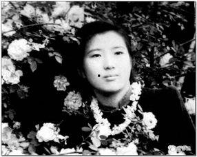 张京华吃瓜,揭秘娱乐圈背后的真相