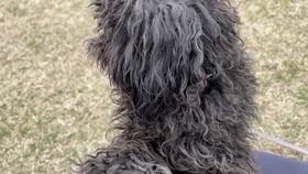 七仔粉丝爆料视频大全最新,精彩瞬间回顾