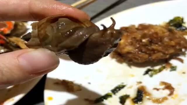 瓜牛吃大餐视频,一场视觉与味蕾的双重盛宴