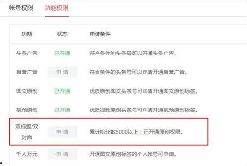 头条双标题阅读量多少,阅读量突破XX万！揭秘头条双标题的奥秘