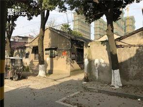 阜阳网红村,乡村振兴的“网络新地标”