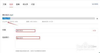 如何通过头条上传视频,头条平台视频上传与生成技巧解析