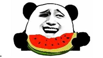 阿姨吃瓜搞笑视频,笑料百出引人捧腹