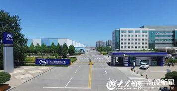 湛江遂溪东岳新闻头条,聚焦乡村振兴，共绘美好家园新篇章