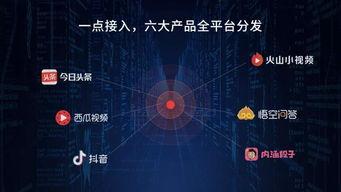 今日头条数据显示收益,收益背后的秘密解析