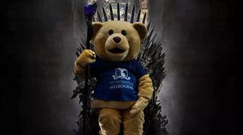 明星熊熊,闪耀星途，青春追梦之旅