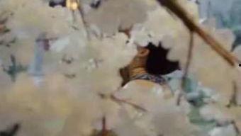 吃瓜观众心痛图片,吃瓜群众共感心痛瞬间