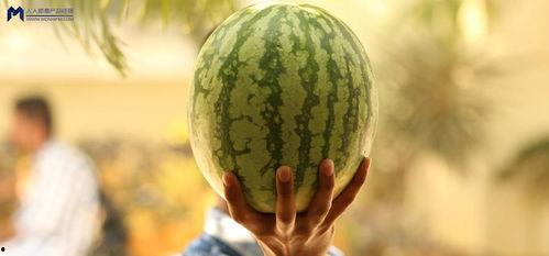 瓜地吃瓜娱乐圈